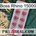 Boss Rhino 15000 18